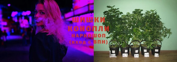 крисы Аркадак