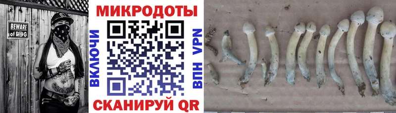 Галлюциногенные грибы GOLDEN TEACHER  купить наркоту  Назрань 