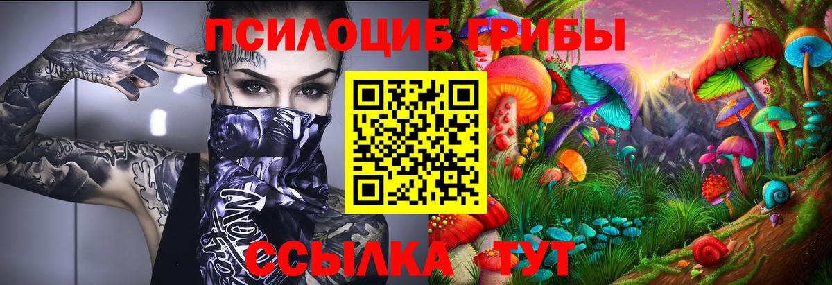 Галлюциногенные грибы ЛСД  Назрань 