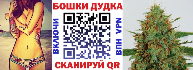 OMG маркетплейс  Назрань  Каннабис индика 